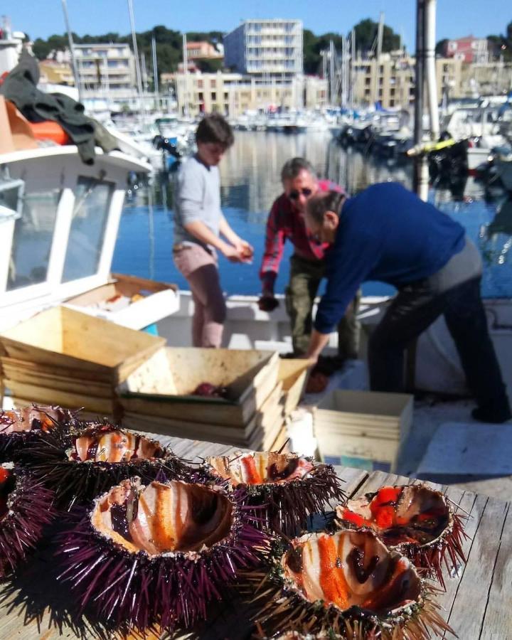 200M De La Plage ,3Mn Du Port A 50M Du Centre Ville Carry-le-Rouet Exteriér fotografie